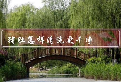 猪肚怎样清洗更干净