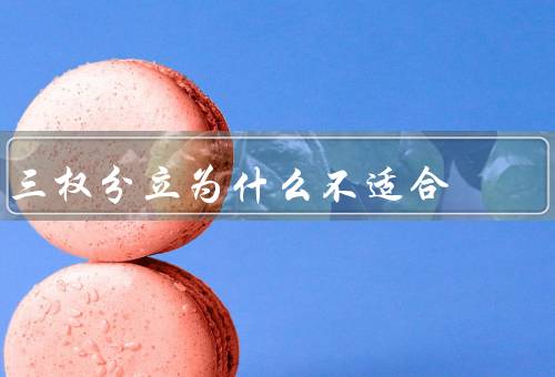 三权分立为什么不适合