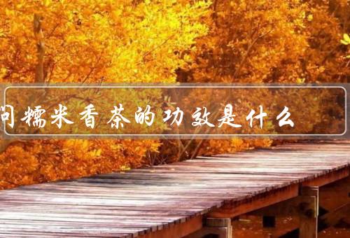 问糯米香茶的功效是什么