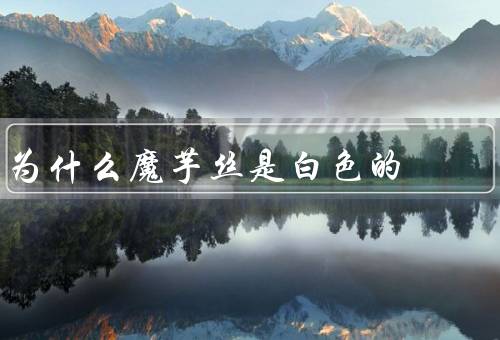 为什么魔芋丝是白色的