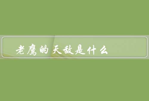 老鹰的天敌是什么