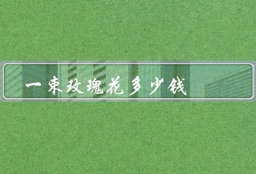 一束玫瑰花多少钱
