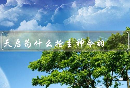 天启为什么抢主神令羽