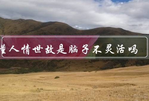 不懂人情世故是脑子不灵活吗