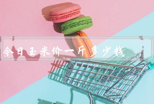 今日玉米价一斤多少钱