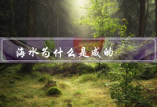 海水为什么是咸的
