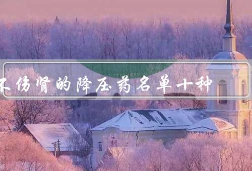 不伤肾的降压药名单十种
