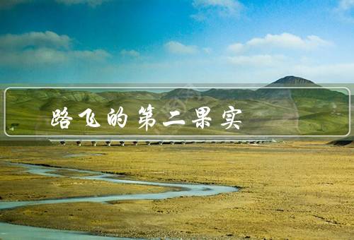 路飞的第二果实