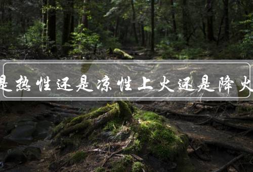 樱桃是热性还是凉性上火还是降火