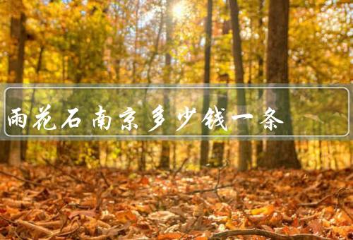 雨花石南京多少钱一条