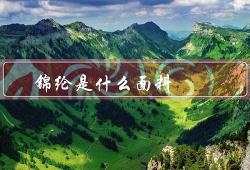 锦纶是什么面料