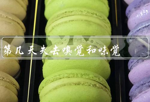 第几天失去嗅觉和味觉