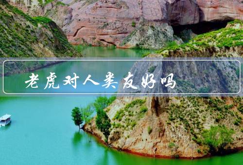 老虎对人类友好吗