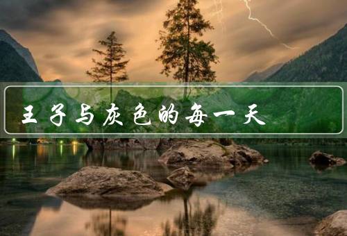 王子与灰色的每一天