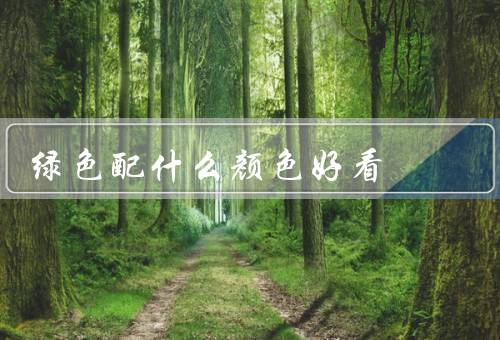 绿色配什么颜色好看