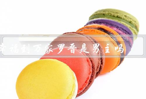 幸福到万家罗晋是男主吗