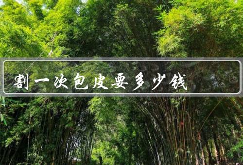 割一次包皮要多少钱