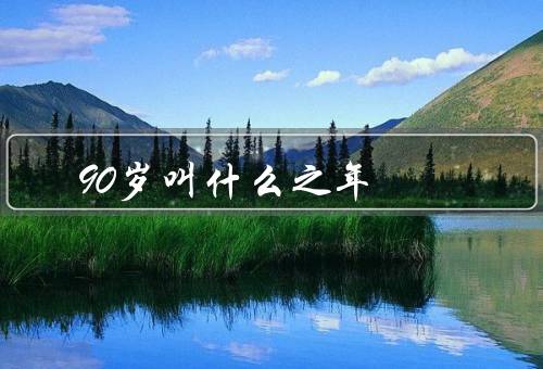 90岁叫什么之年