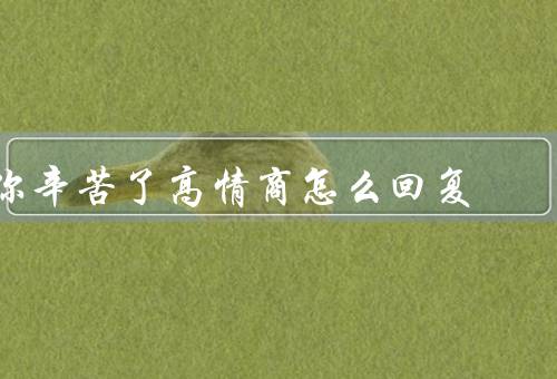 你辛苦了高情商怎么回复