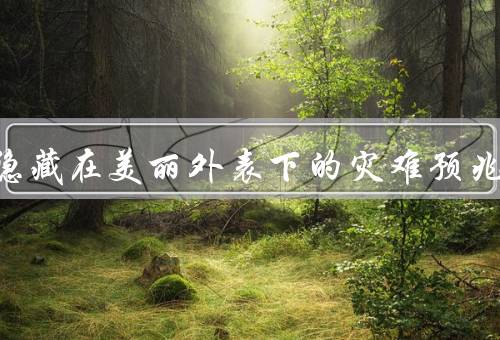 解读隐藏在美丽外表下的灾难预兆