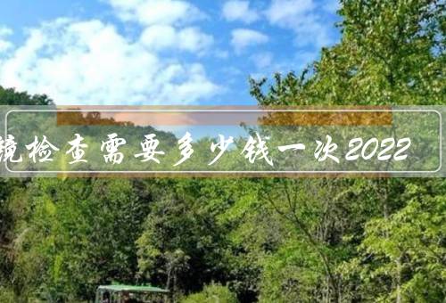 胃镜检查需要多少钱一次2022