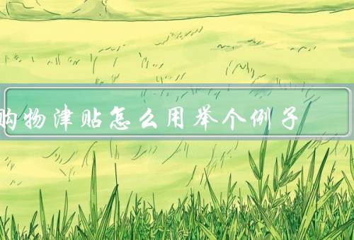 购物津贴怎么用举个例子