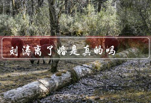 刘涛离了婚是真的吗