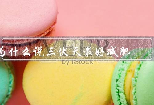 为什么说三伏天最好减肥
