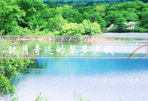 玖月奇迹的琴多少钱