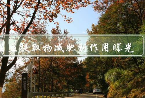 白芸豆提取物减肥副作用曝光