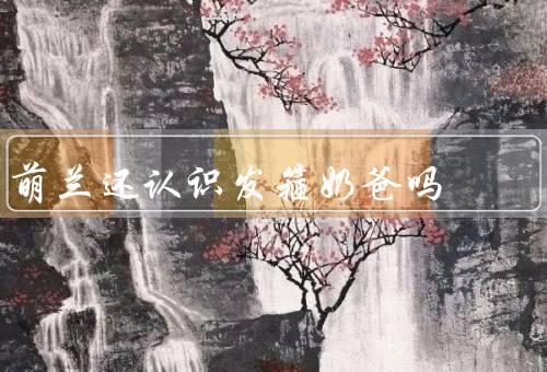 萌兰还认识发箍奶爸吗