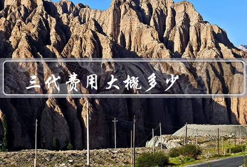三代费用大概多少