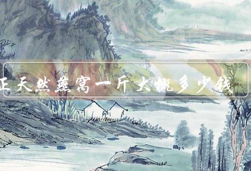 纯正天然燕窝一斤大概多少钱