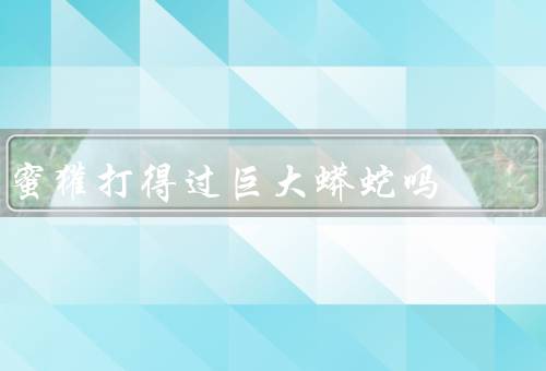 蜜獾打得过巨大蟒蛇吗