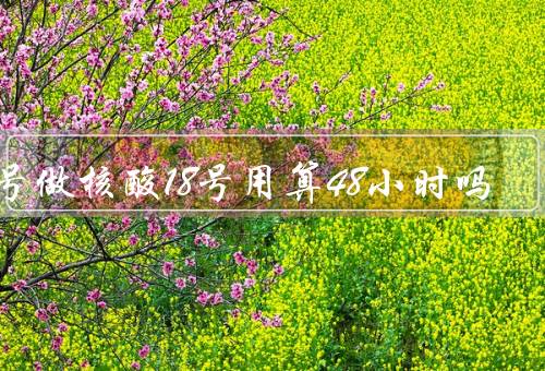 16号做核酸18号用算48小时吗，精确到分钟（从出结果时间开始算）