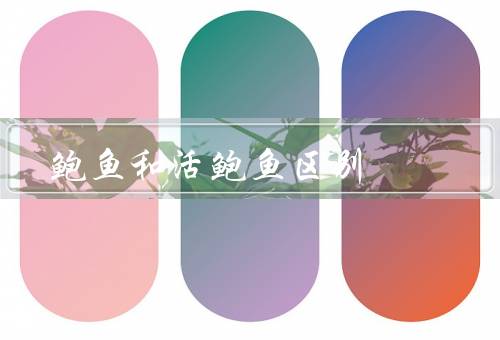 鲍鱼和活鲍鱼区别