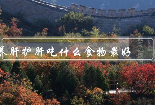 养肝护肝吃什么食物最好