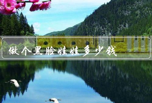 做个黑脸娃娃多少钱