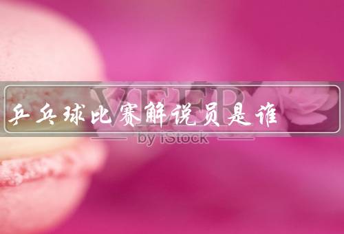 乒乓球比赛解说员是谁