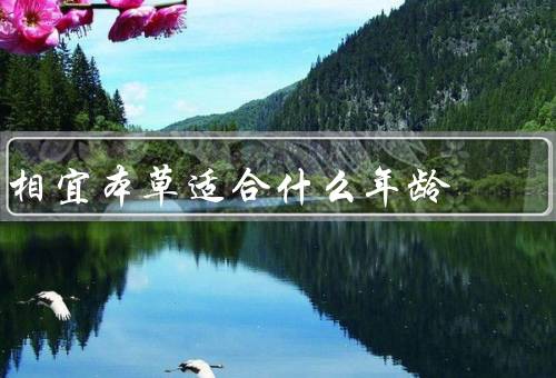 相宜本草适合什么年龄