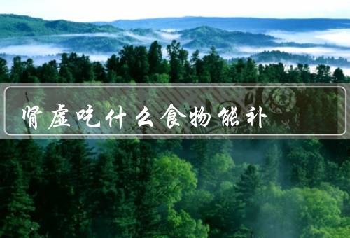 肾虚吃什么食物能补