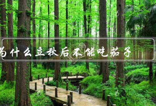 为什么立秋后不能吃茄子