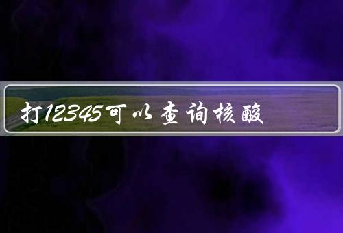 打12345可以查询核酸