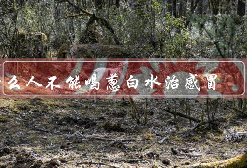 什么人不能喝葱白水治感冒