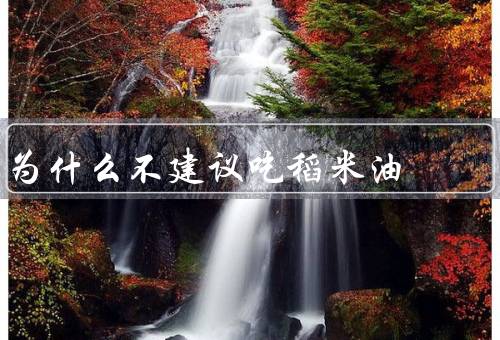 为什么不建议吃稻米油