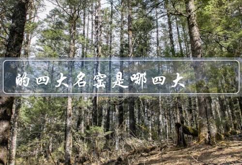 的四大名窑是哪四大
