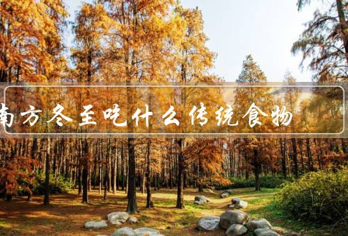 南方冬至吃什么传统食物