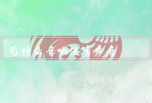 为什么音响没有声音