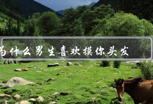 为什么男生喜欢摸你头发