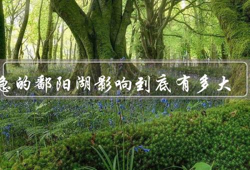 告急的鄱阳湖影响到底有多大